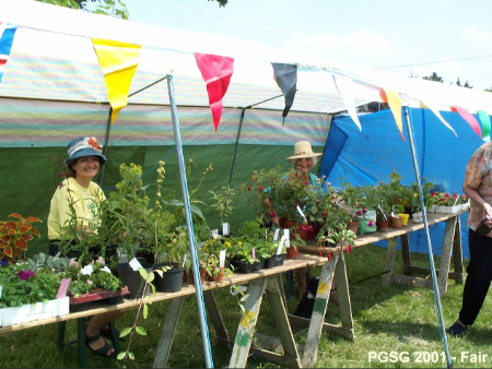 Plant Stall